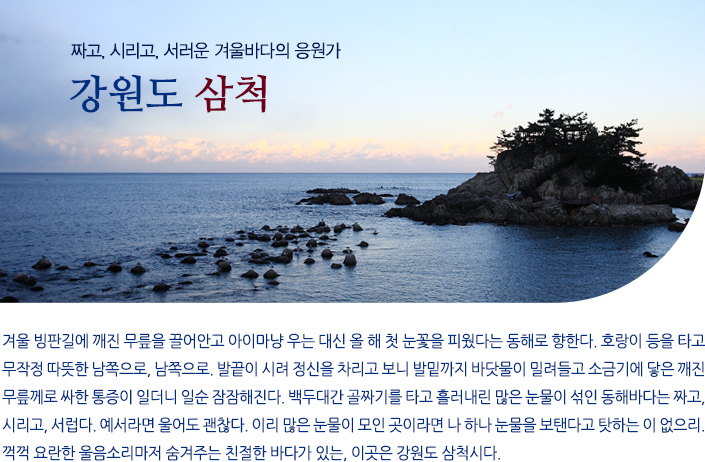 짜고, 시리고, 서러운 겨울바다의 응원가 강원도 삼척여행