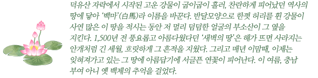 덕유산 자락에서 시작된 고운 강물이 굽이굽이 흘러, 찬란하게 피어나 덧없이 사라져 간 역사의 땅에 닿아 ‘백마’(白馬)라 이름을 바꾼다. 반달모양으로 한껏 허리를 휜 강물이 사연 많은 이 땅을 적시는 동안 저 멀리 덤덤한 얼굴의 부소산이 그 옆을 지킨다. 1,500년 전 풍요롭고 아름다웠다던 ‘새벽의 땅’은 해가 뜨면 사라지는 안개처럼 긴 세월, 흐릿하게 그 흔적을 지웠다. 그리고 매년 이맘때, 이제는 잊혀져가고 있는 그 땅에 아름답기에 서글픈 연꽃이 피어난다. 이 여름, 충남 부여 아니 옛 백제의 추억을 걸었다.