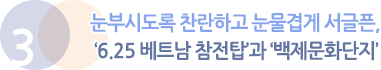 3. 눈부시도록 찬란하고 눈물겹게 서글픈, ‘6.25 베트남 참전탑’과 ‘백제문화단지’