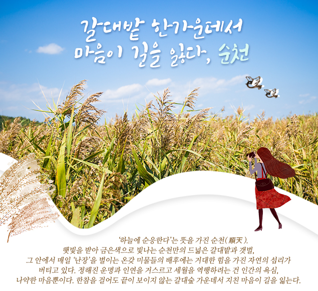 갈대밭 한가운데서 마음이 길을 잃다, 순천
                    
                     ‘하늘에 순응한다’는 뜻을 가진 순천(順天). 햇빛을 받아 금은색으로 빛나는 순천만의 드넓은 갈대밭과 갯벌, 그 안에서 매일 ‘난장’을 벌이는 온갖 미물들의 배후에는 거대한 힘을 가진 자연의 섭리가 버티고 있다. 정해진 운명과 인연을 거스르고 세월을 역행하려는 건 인간의 욕심, 나약한 마음뿐이다. 한참을 걸어도 끝이 보이지 않는 갈대숲 가운데서 지친 마음이 길을 잃는다.