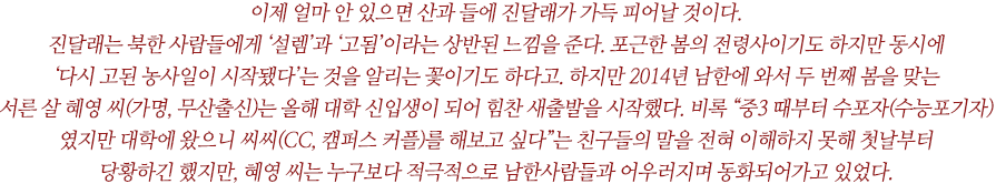 이제 얼마 안 있으면 산과 들에 진달래가 가득 피어날 것이다. 진달래는 북한 사람들에게 ‘설렘’과 ‘고됨’이라는 상반된 느낌을 준다. 포근한 봄의 전령사이기도 하지만 동시에 
‘다시 고된 농사일이 시작됐다’는 것을 알리는 꽃이기도 하다고. 하지만 2014년 남한에 와서 두 번째 봄을 맞는 서른 살 혜영 씨(가명, 무산출신)는 올해 대학 신입생이 되어 힘찬 새출발을 시작했다. 비록 “중3 때부터 수포자(수능포기자)였지만 대학에 왔으니 씨씨(CC, 캠퍼스 커플)를 해보고 싶다”는 친구들의 말을 전혀 이해하지 못해 첫날부터 당황하긴 했지만, 혜영 씨는 누구보다 적극적으로 남한사람들과 어우러지며 동화되어가고 있었다. 