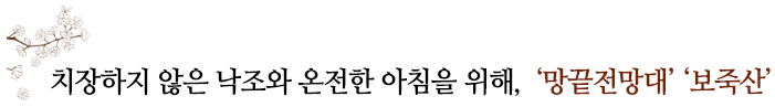 치장하지 않은 낙조와 온전한 아침을 위해,  ‘망끝전망대’ ‘보죽산’