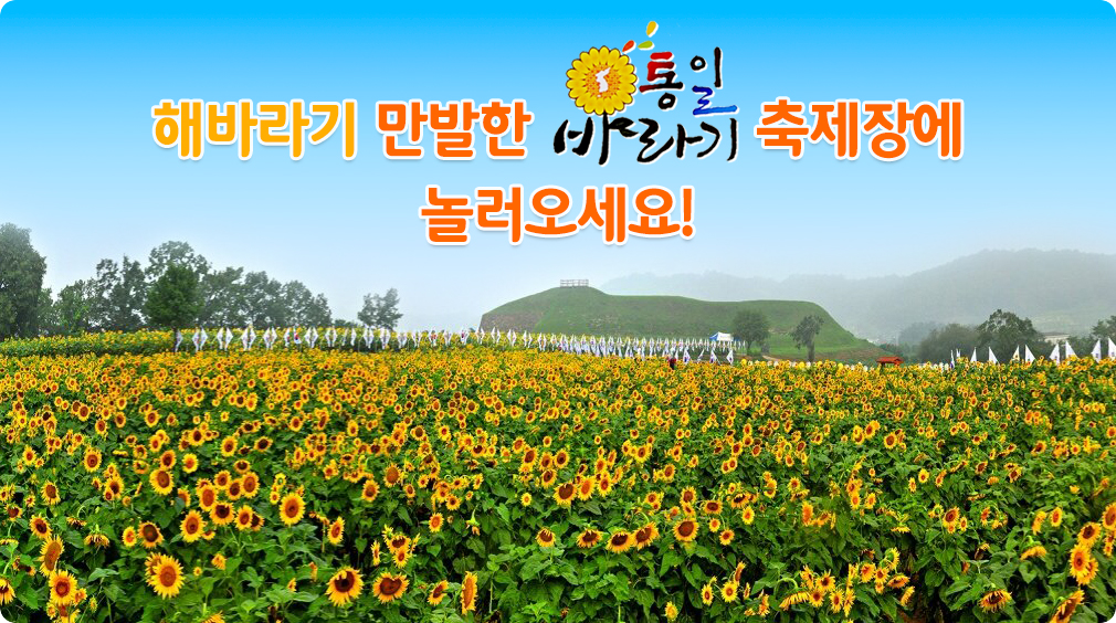 해바라기 만발한 통일바라기 축제장에 놀러오세요!