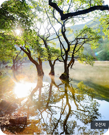 주산지