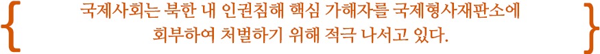 국제사회는 북한 내 인권침해 핵심 가해자를 국제형사재판소에 회부하여 처벌하기 위해 적극 나서고 있다.