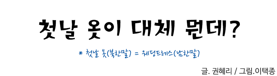 첫날 옷이 대체 뭔데? *첫날 옷(북한말) = 웨딩드레스(남한말) 권혜리 / 그림. 이택종