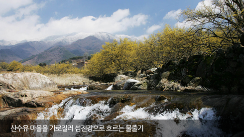 산수유 마을을 가로질러 섬진강으로 흐르는 물줄기